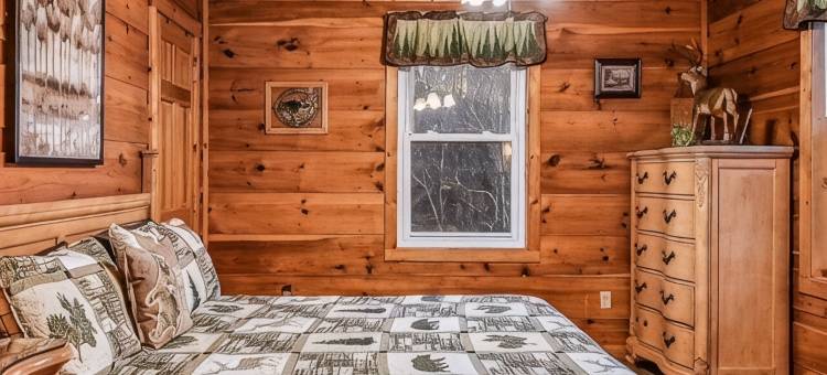 查看优惠！大烟山木屋(小鸽子河畔，山景)- 230条好评(See Offers! Smoky Mt Cabin on Little Pigeon River w/ Mt View - 230 Great Reviews)图片