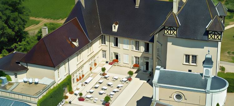 皮扎伊城堡酒店(Château de Pizay)图片