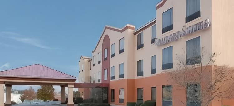 舒适套房酒店(Comfort Suites)图片