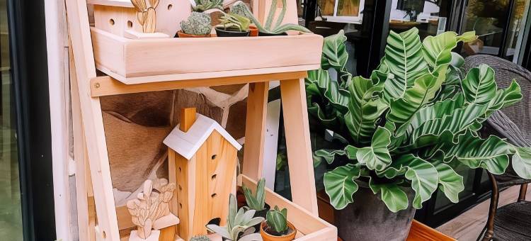 卡斯特罗度假村(The Castello Resort)图片