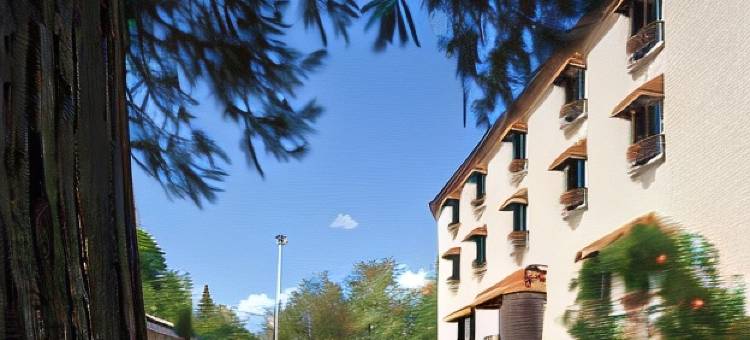 瑟德利斯酒店(Logis Hôtel Restaurant les Cèdres)图片