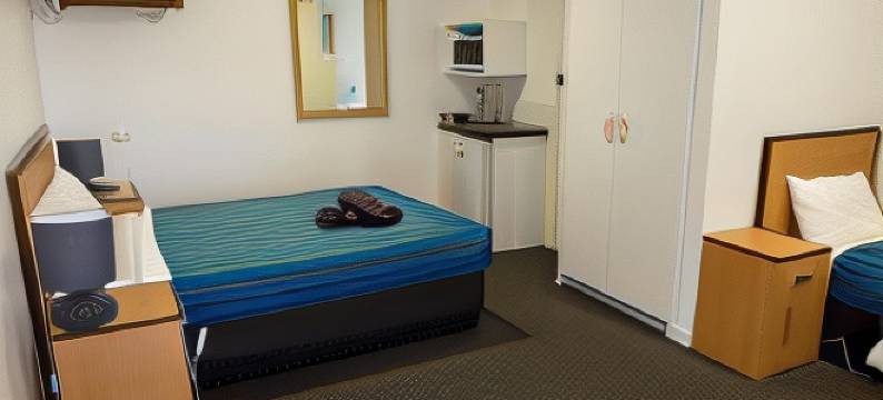 班蒂阔特汉密尔顿汽车旅馆(Bandicoot Motor Inn Hamilton)图片