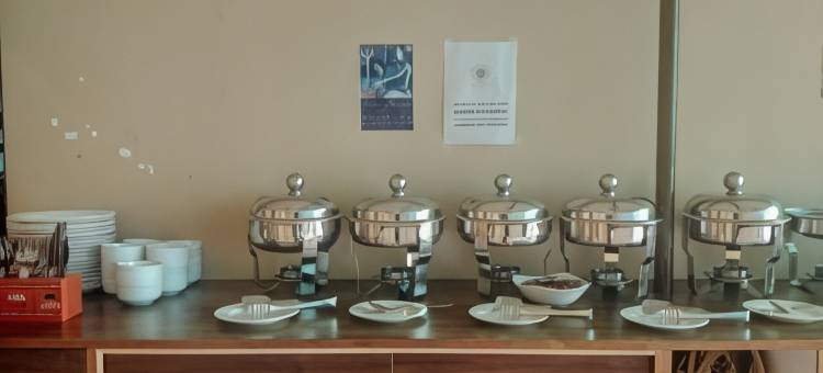 阶梯宫殿迪维迪酒店(Dwivedi Hotels Palace on Steps)图片