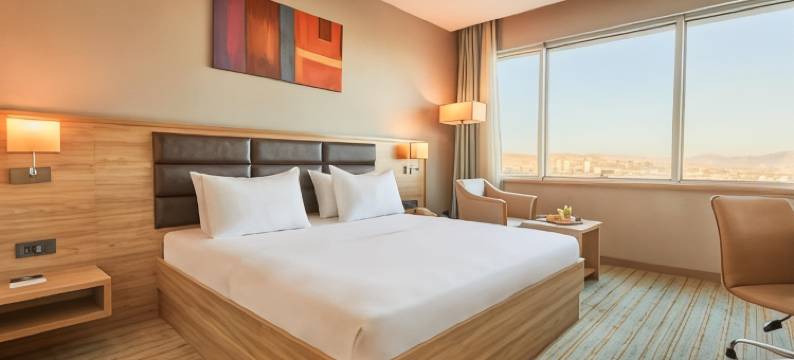 埃拉齐格德曼公园酒店(Park Dedeman Elazığ)图片