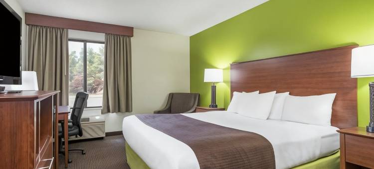 布莱克里弗福尔斯美吟温德姆酒店(AmericInn by Wyndham Black River Falls I-94 on ATV Trail)图片