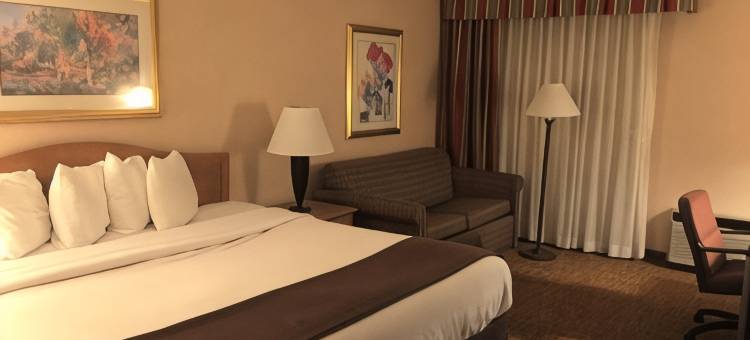 博伊西美洲最佳价值套房酒店(Americas Best Value Inn and Suites Boise)图片