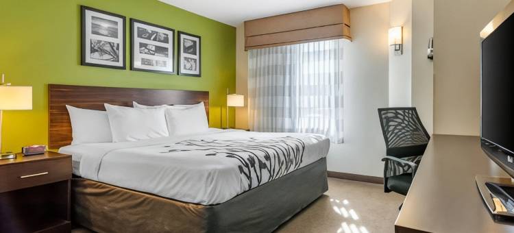 舒眠酒店-萨凡纳北95号州际公路(Sleep Inn I-95 North Savannah)图片