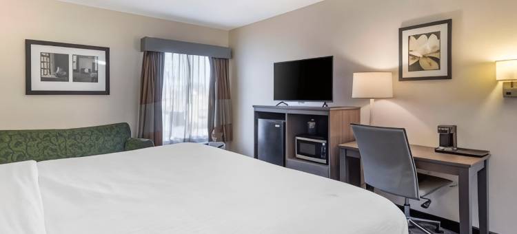 品质旅舍(Quality Inn)图片