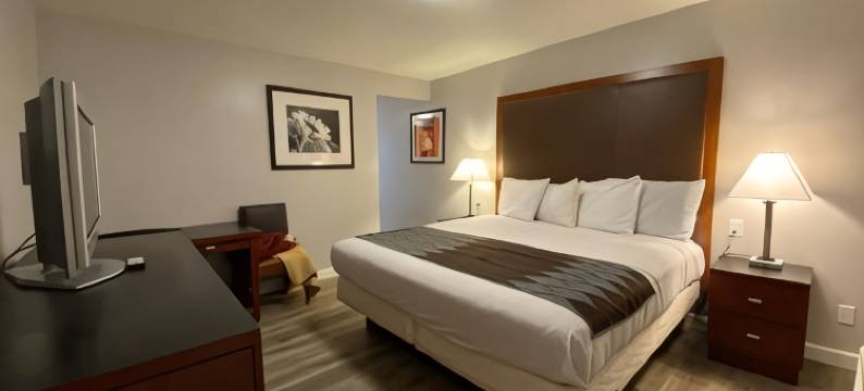 克罗尼尔汽车旅馆(Colonial Motel)图片