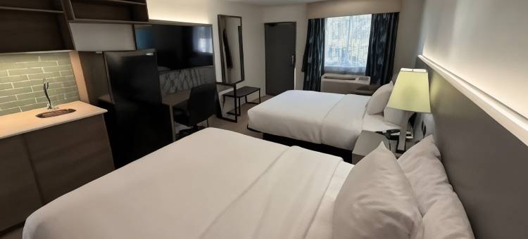 Baymont by Wyndham Rock Springs图片