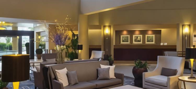 休斯顿布鲁克霍洛喜来登酒店(Sheraton Houston Brookhollow Hotel)图片