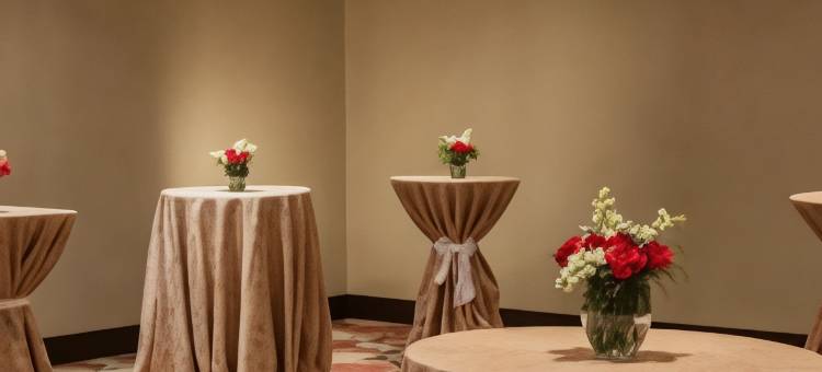 埃尔帕索希尔顿花园酒店/大学(Hilton Garden Inn El Paso / University)图片