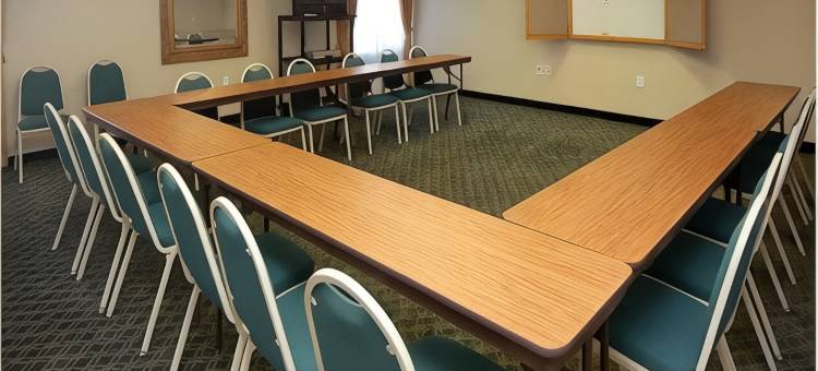 塞金拉昆塔温德姆套房酒店(La Quinta Inn & Suites by Wyndham Seguin)图片