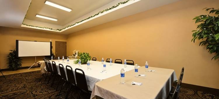 舒适套房酒店(Comfort Suites Bay City)图片