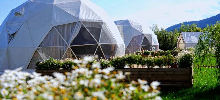 云野GLAMPING·日照金山·雪山观景VILLA度假美宿(束河古镇店)图片