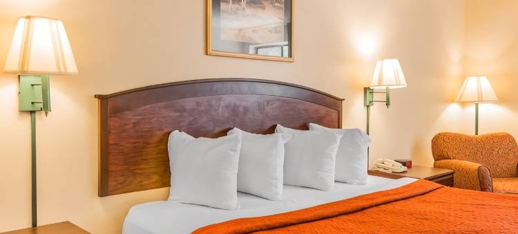 佩尔城I-20出口158号凯艺酒店(Quality Inn Pell City I-20 Exit 158)图片