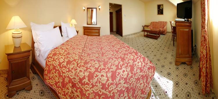 Tresor Le Palais Timisoara，希尔顿古董珍藏酒店(Tresor Le Palais Timisoara, Curio Collection by Hilton)图片