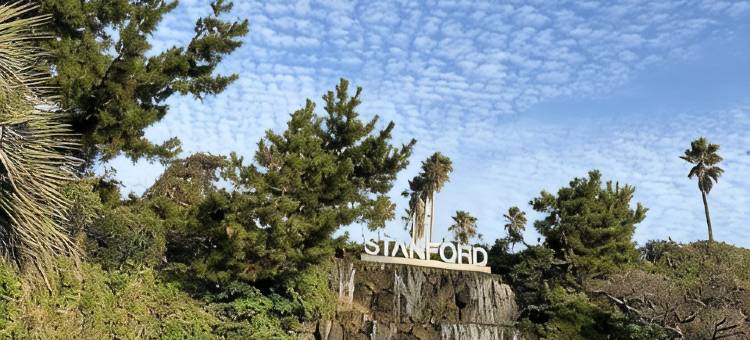 济州斯坦福酒店和度假村(Stanford Hotel & Resort Jeju)图片