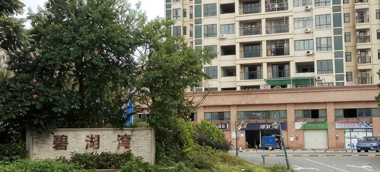 缤斯威国际酒店(东莞凤深大道店)图片