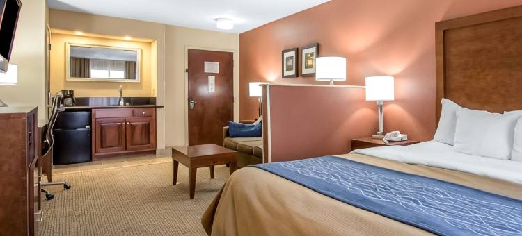 利文斯顿舒适酒店(Comfort Inn)图片