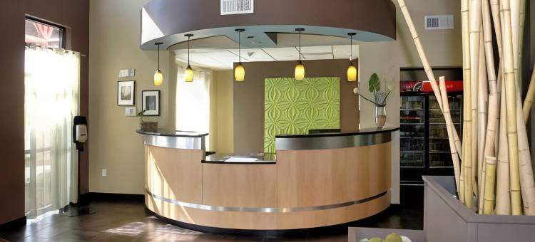 新伯尔尼和樱桃角舒适套房酒店(Comfort Suites New Bern Near Cherry Point)图片