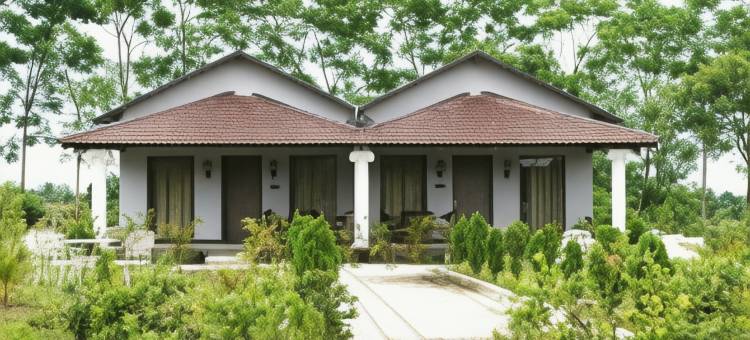 图利兰花 - 精品生态度假村(Tuli Orchid - A Boutique Eco Resort)图片