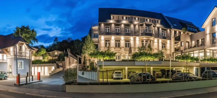 莎克瑟别墅阿肯森特酒店(Akzent Hotel Villa Saxer)图片