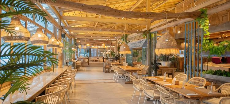 椰林村海滩度假村(Cocohut Beach Resort)图片