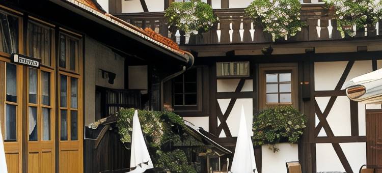 希尔施高登纳酒店(Hotel Goldener Hirsch)图片