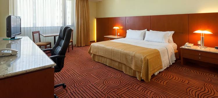 Holiday Inn 普埃布拉FINSA(Holiday Inn PUEBLA FINSA by IHG)图片