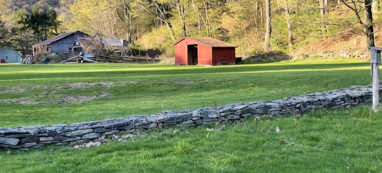 Catskill dreamy pet friendly country house  for a unique getaway experience.图片