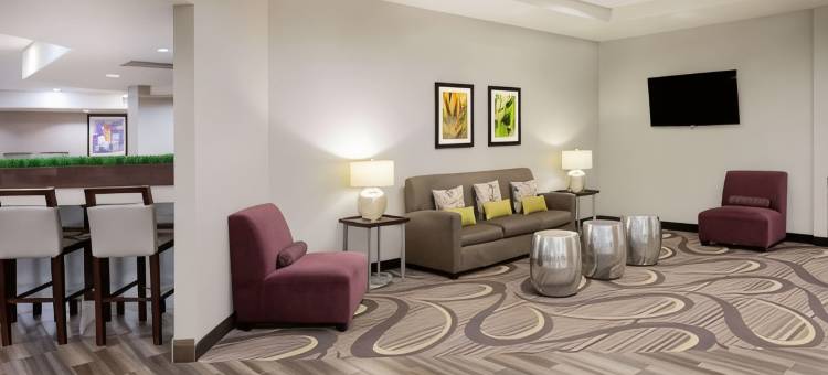 布鲁姆酒店(Bloom Hotel)图片