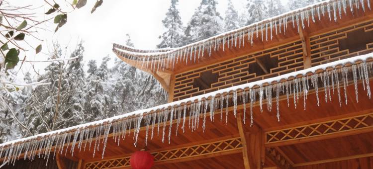 松阳山村人家民宿图片