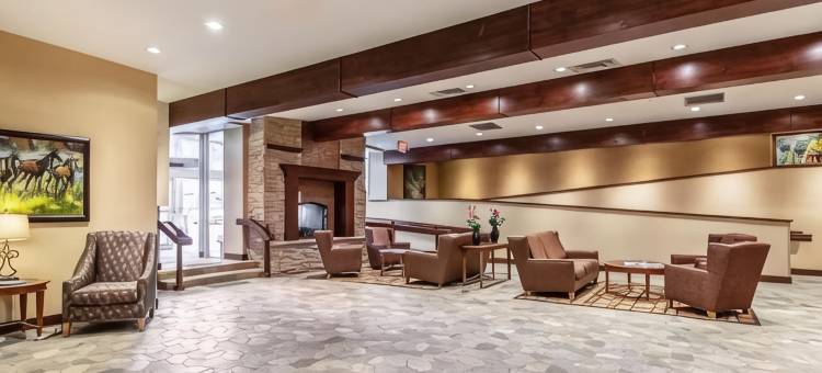 白峰酒店(WHITE PEAK HOTEL by IHG)图片