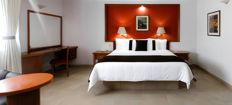 塞拉亚米森快捷酒店(Hotel Misión Express Celaya)图片