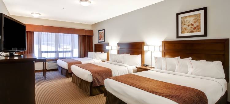 梅尔福特卡纳尔塔酒店(Canalta Hotel Melfort)图片