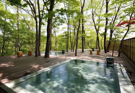 Chikusenso Onsen Hotel Overview