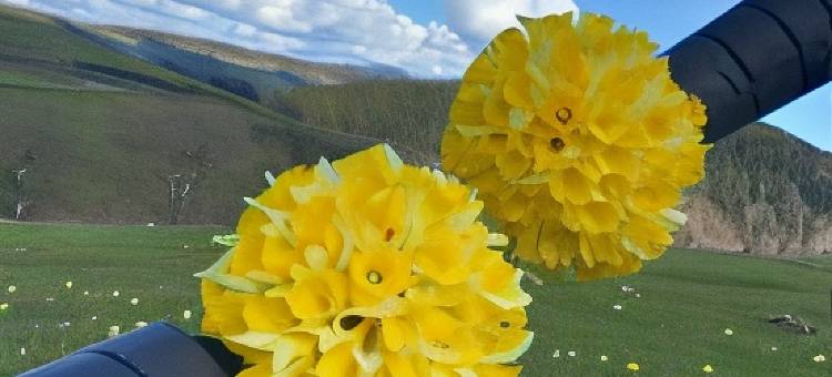 拉文生(Hôtel Restaurant la Renaissance)图片