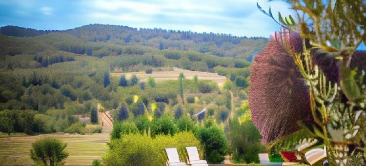 普雷法萨尔领地(Domaine de Prefaissal)图片