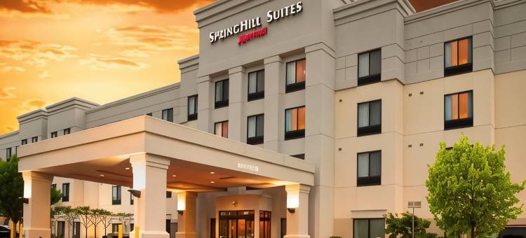 伯明翰科罗内德／格兰德维尤万豪SpringHill酒店(SpringHill Suites Birmingham Colonnade/Grandview)图片