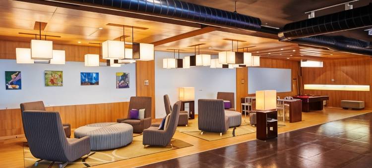 哈莱兹酒店(Hotel Halez)图片