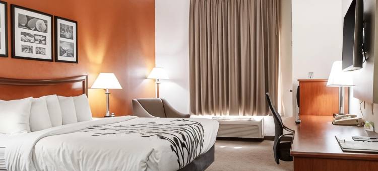 霍布斯的舒眠茵套房酒店(Sleep Inn & Suites)图片