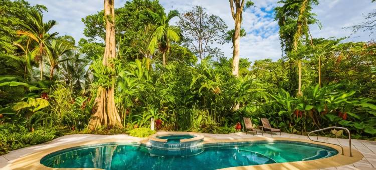 鸟巢丛林小屋(El Nido Jungle Lodge)图片