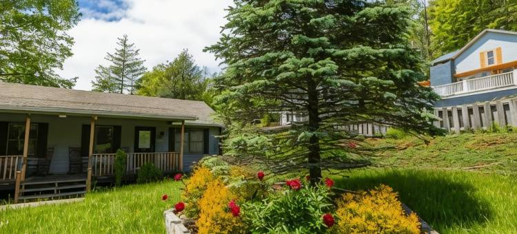 吹石旅馆(Blowing Rock Inn)图片