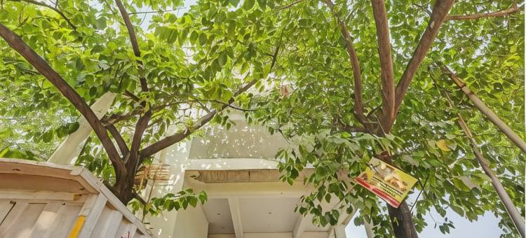 Hotel O Park Inn Near Parashuram Chowk图片