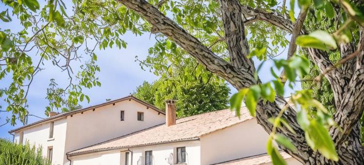 普雷法萨尔领地(Domaine de Prefaissal)图片