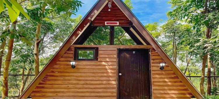 Cocotel浮动保护区度假村(Floating Sanctuary by Cocotel)图片