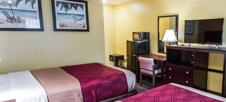 伊克诺旅馆-可可比奇海滩近海港(Econo Lodge Cocoa Beach - Near the Port)图片