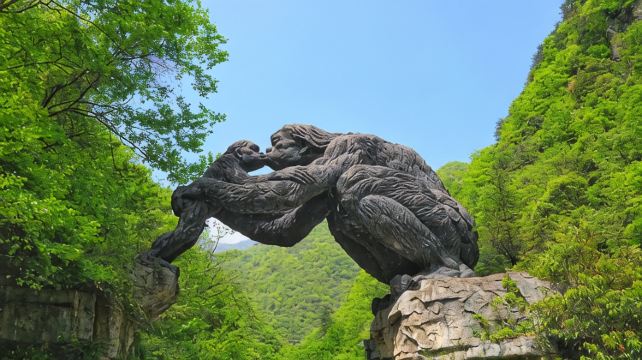 神农架、宜昌+4