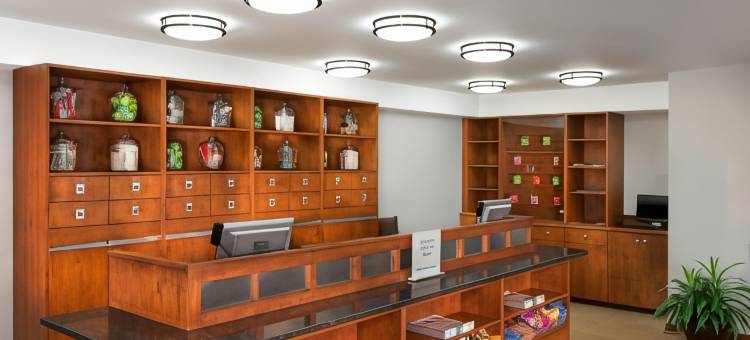 阿什维尔市中心福朋喜来登酒店(Four Points by Sheraton Asheville Downtown)图片